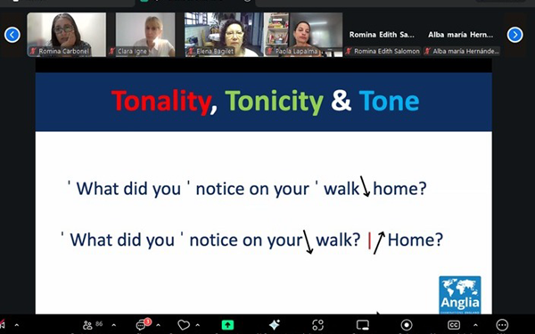 La imagen muestra una captura de pantalla de la reunión